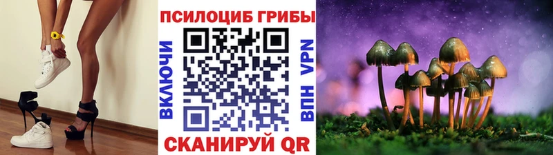 Галлюциногенные грибы Cubensis  Новозыбков 