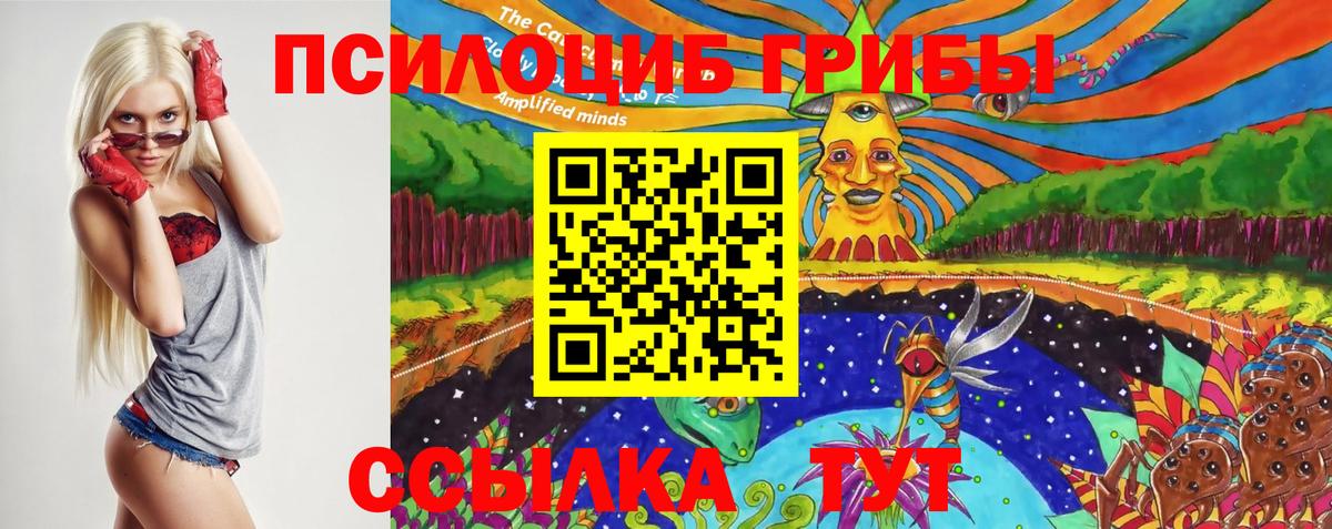 Новозыбков  Галлюциногенные грибы Psilocybine cubensis  Вход с VPN  Псилоцибиновые грибы MAGIC MUSHROOMS 